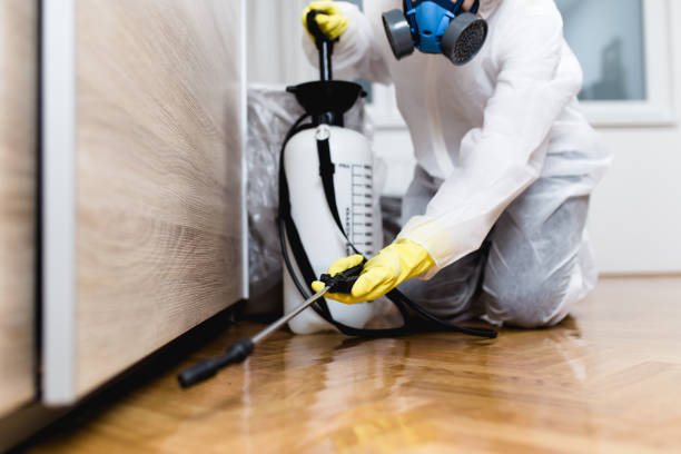 Best Affordable Pest Control Services  in Rockville, CT