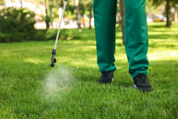 Best Cockroach Control Services  in Rockville, CT
